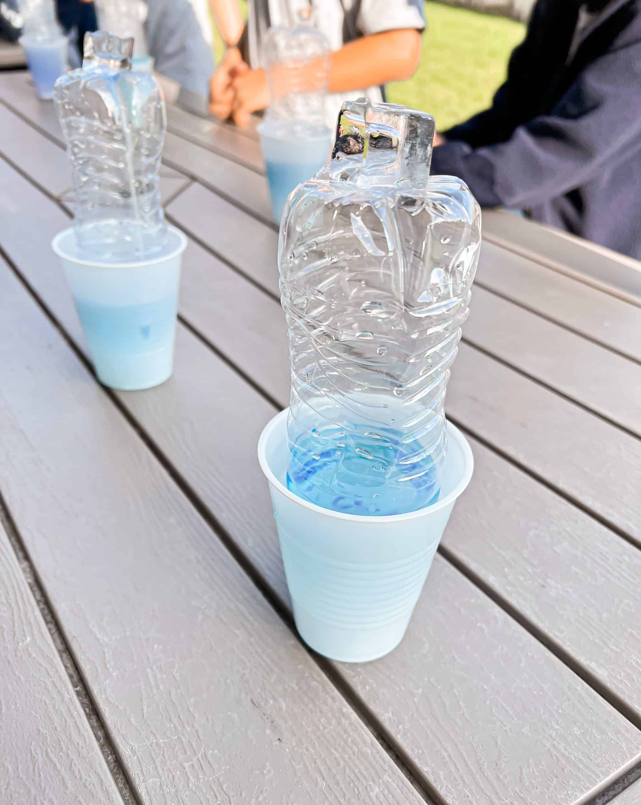 Water Cycle in a Bottle with Free Worksheets